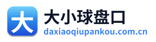 大小球盘口 Logo